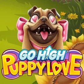 Go High Puppy Love slot visual from RubyPlay available on vipluckcasinoo.com