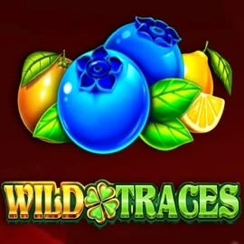 Wild Traces slot visual from Amusnet Interactive available on vipluckcasinoo.com